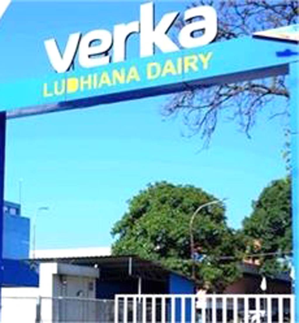 Milkfed General Manager and Quality Manager suspended Action taken after Indian Army rejects consignment of dry milk